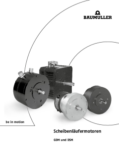 Scheibenläufermotoren